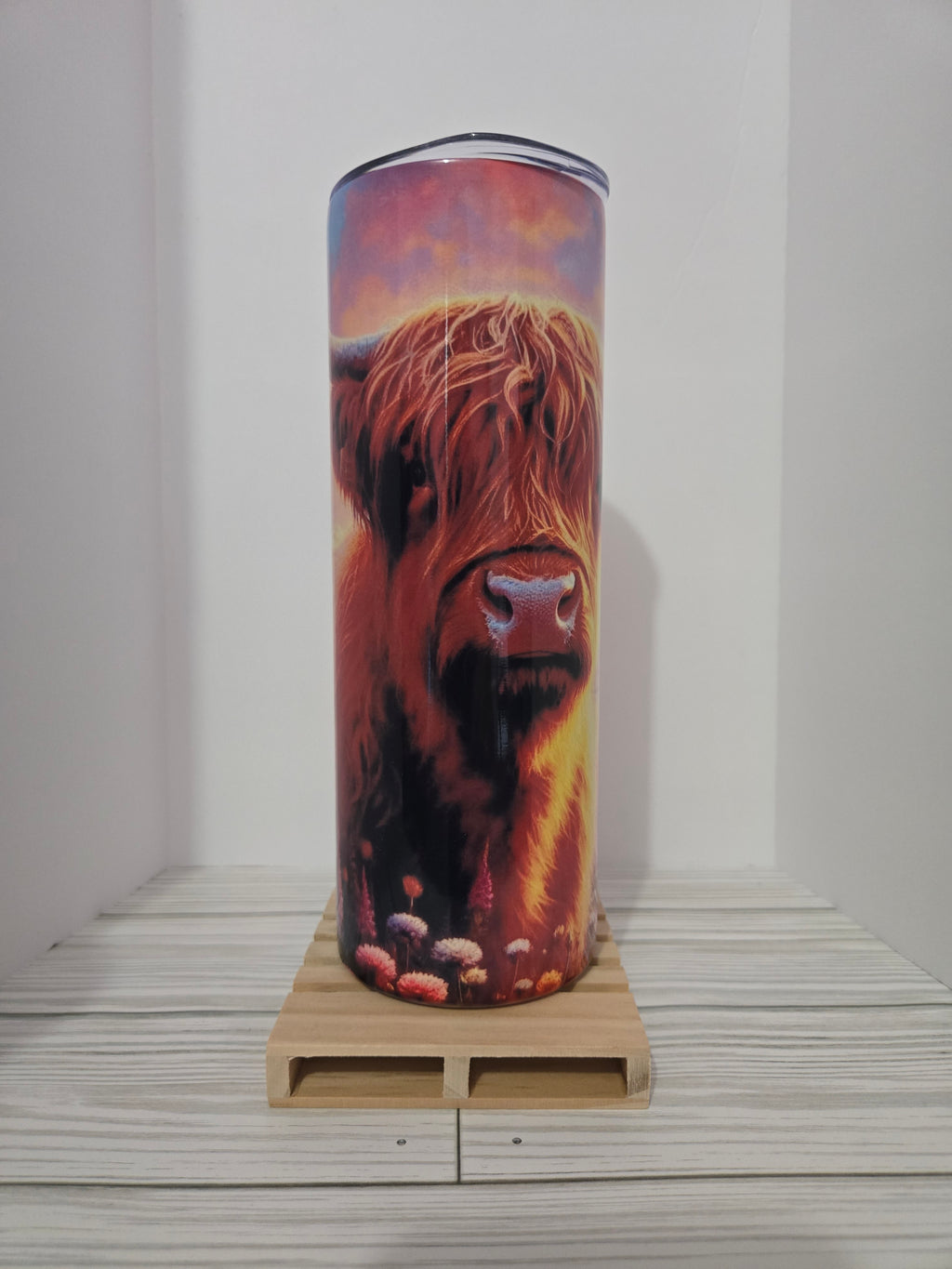 Sunset highland cow 🐄