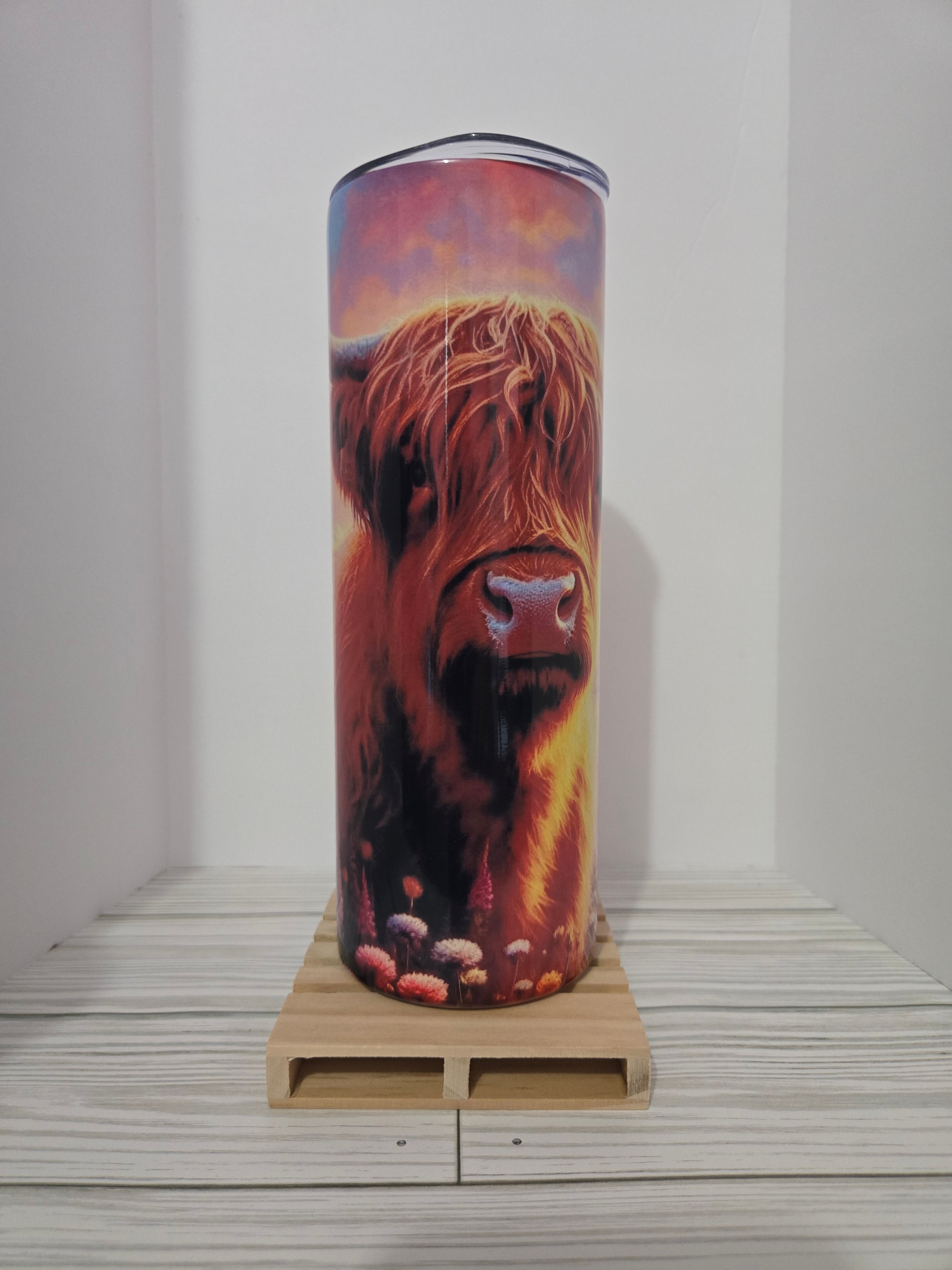 Sunset highland cow 🐄