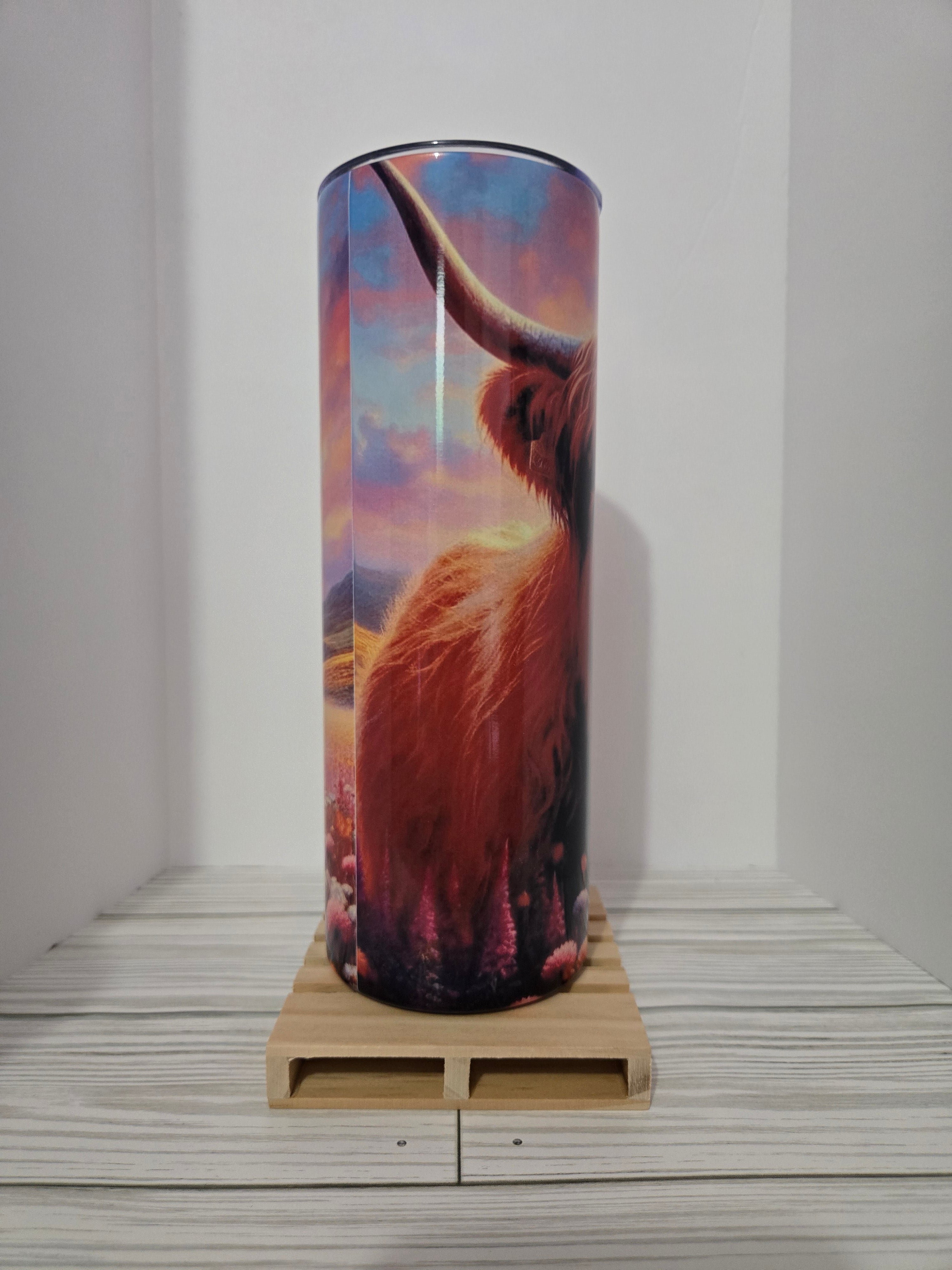 Sunset highland cow 🐄